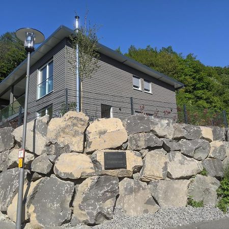 Ferienhaus Schieferterrasse - Waldsee Rieden - Eksteriør bilde